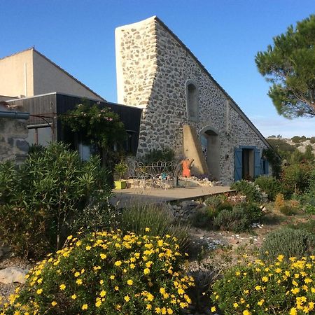 Domaine Castelsec Βίλα Roquefort-des-Corbières Εξωτερικό φωτογραφία