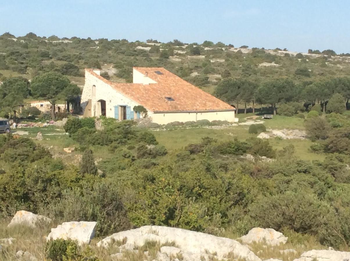 Domaine Castelsec Βίλα Roquefort-des-Corbières Εξωτερικό φωτογραφία