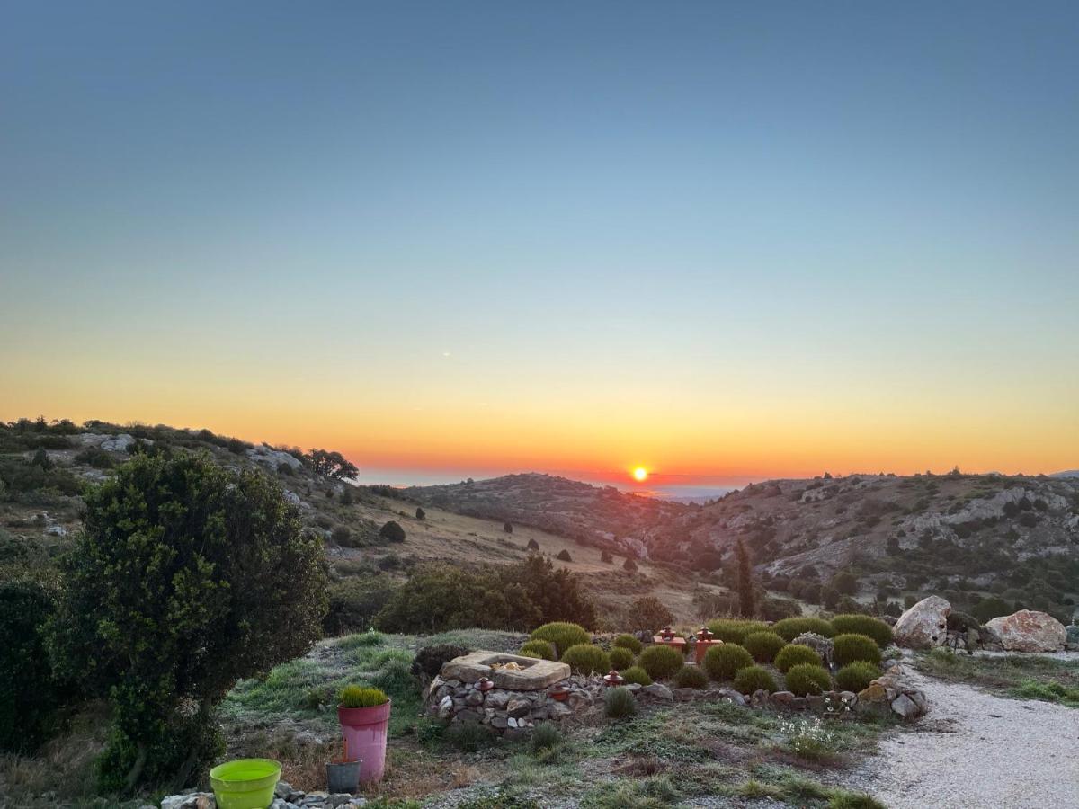 Domaine Castelsec Βίλα Roquefort-des-Corbières Εξωτερικό φωτογραφία